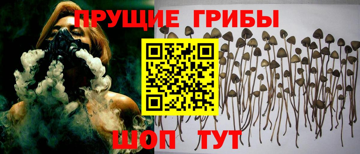Псилоцибиновые грибы Magic Shrooms  Вход с VPN  Калининград 