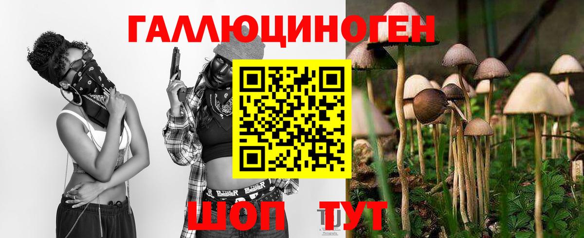 Галлюциногенные грибы мухоморы Калининград